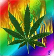 weed028.jpg