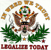 weed042.jpg