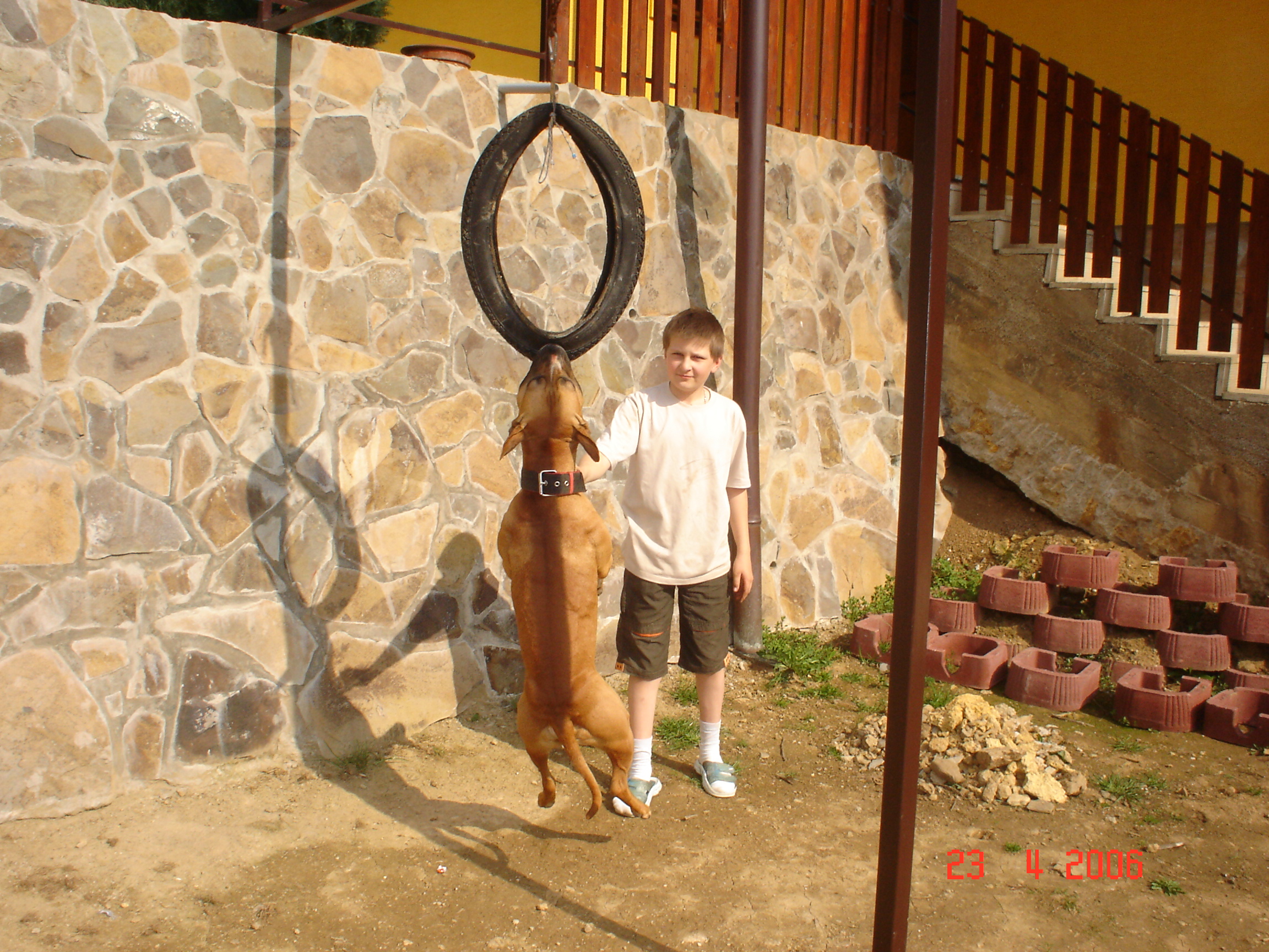 DSC02315.JPG